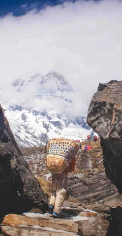 India landscape placeholder