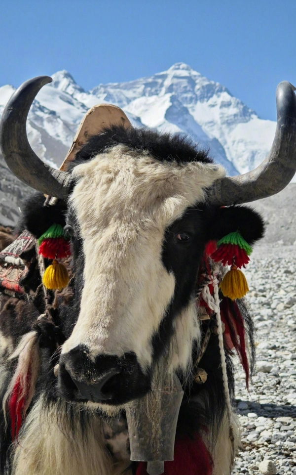Geet Travel