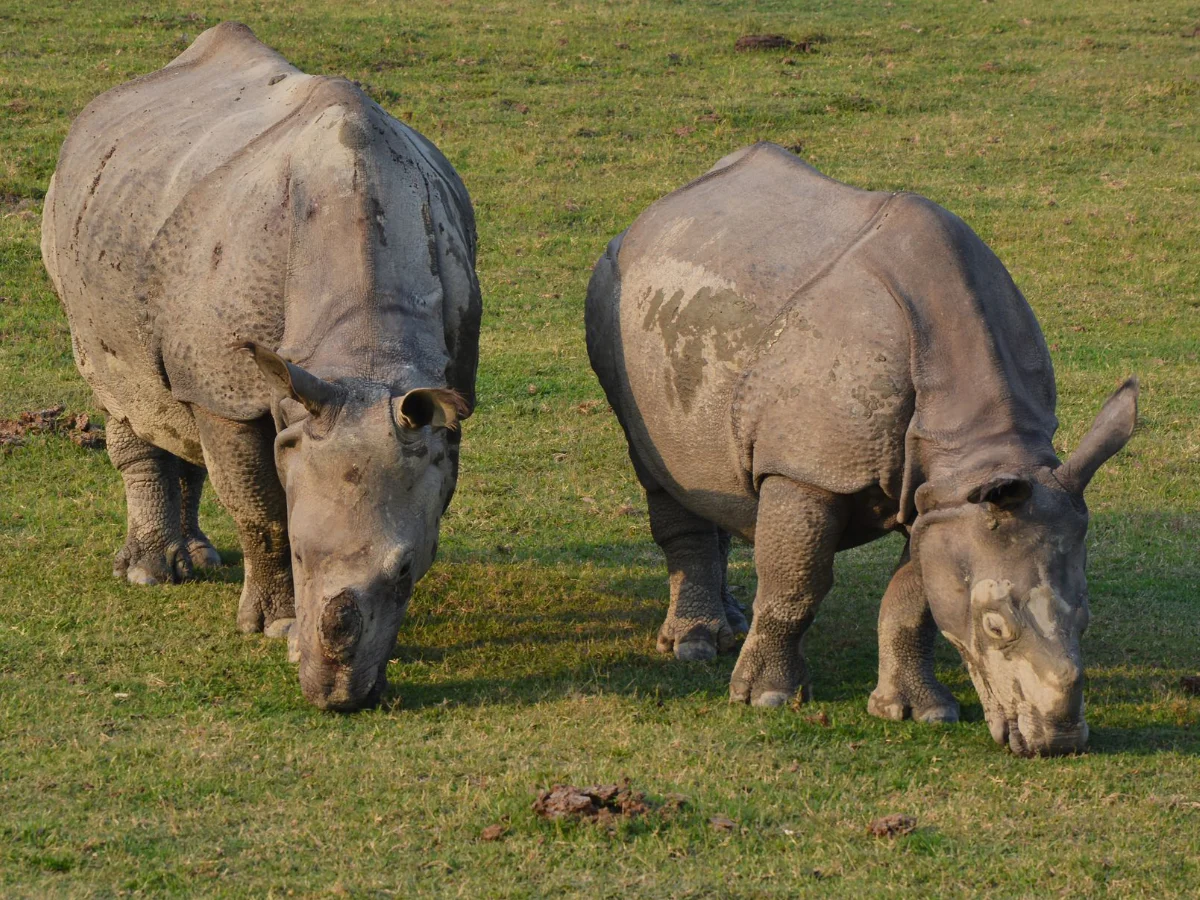 Tharu Homeland in Chitwan